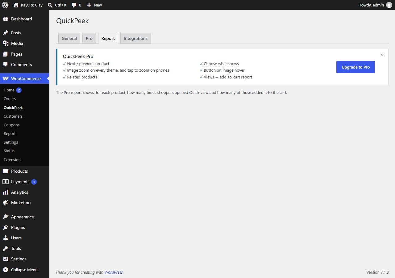 Quick View Report tab describing the Pro quick view report